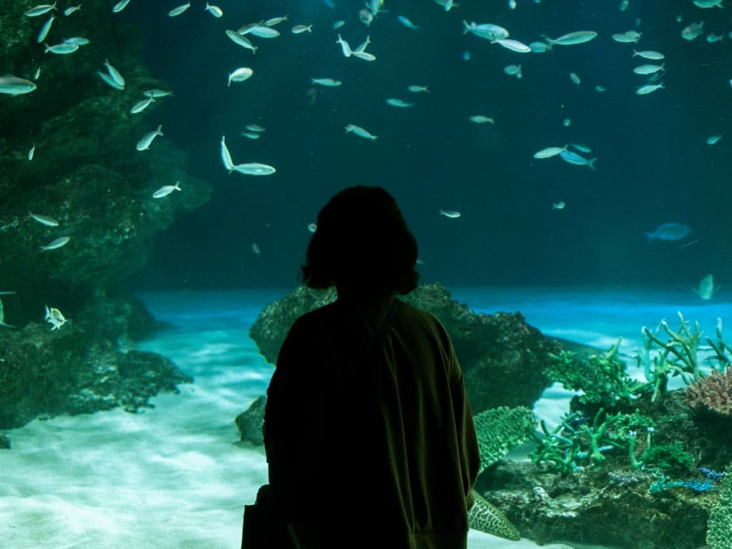 Sunshine City Aquarium. Olympus E-M1 MkII
