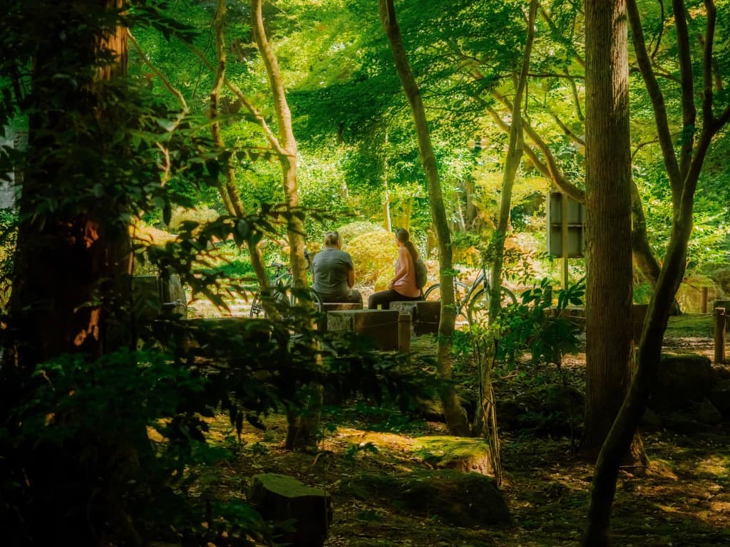 Somewhere in Chiba, Japan. Olympus E-M1 MkII