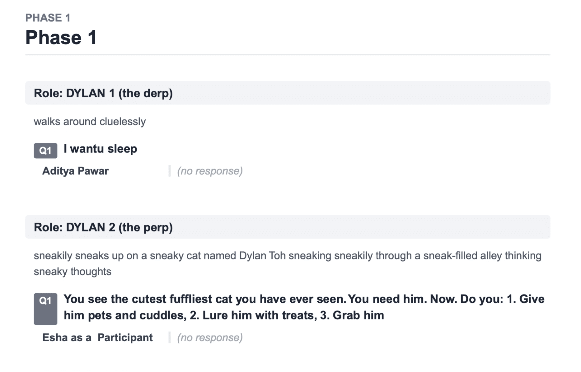 After-action report listing responses by role